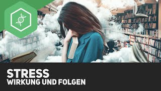 Stress  Wirkung und Folgen [upl. by Busey]