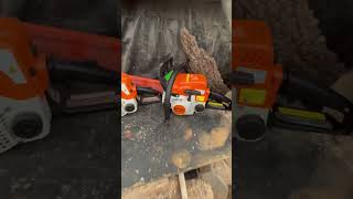 Whats better Stihl MS170 or the Stihl MS180  stihl stihlchainsaw stihlms170 stihlms180 [upl. by Witherspoon839]