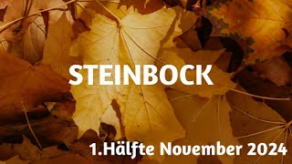 Steinbock 1 Hälfte Nov 2024  veränderte Zielsetzung [upl. by Pomfret]