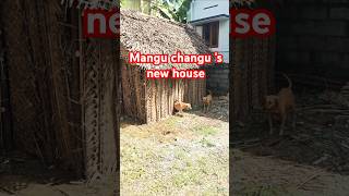 mangu changu new house funny comedy moments enjoy [upl. by Fiorenza]