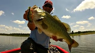 9 lb 8 oz Bass Caught on the Jackall Gantarel Jr  Swimbait Bass Fishing [upl. by Audwen]