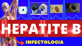 HEPATITE B  CARACTERÍSTICAS SINTOMAS DIAGNÓSTICO E TRATAMENTO  INFECTOLOGIA [upl. by Giulio]