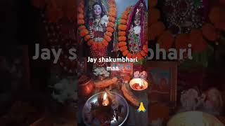 Savan ki rut hai aaja man Mata Rani bhajan short video [upl. by Einallem424]