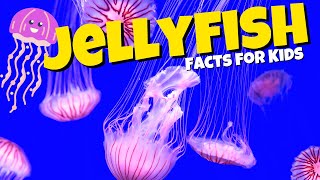 What are Jellyfish Jellyfish Facts for Kids [upl. by Leur963]