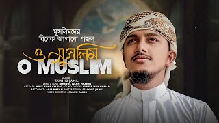 সময়ের সেরা বিবেক জাগানিয়া গজল । O Muslim । ও মুসলিম । Tawhid Jamil । ইসলামিক গান 2024 [upl. by Nylave992]