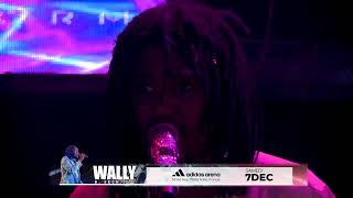 Wally B Seck  live VOGUE HD  Dimanche 06 Octobre 2024 [upl. by Kilmarx962]