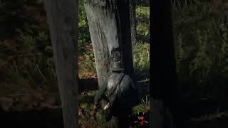 Exotic Sparrow Egg Orchid Location RDR2  reddeadredmption2 gaming rdrgameplay CowBoy [upl. by Mure]