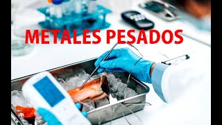 Lo que debes saber sobre los Metales Pesados que acumulamos en el Cuerpo [upl. by Cyndy]