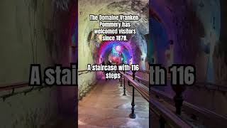 The Domaine VrankenPommery A staircase with 116 steps share shorts travel subscribe amazing [upl. by Esialb]