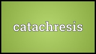 Catachresis Meaning [upl. by Emelyne]