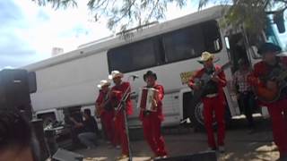 los girasoles sombra norteña en vivo [upl. by Lal500]