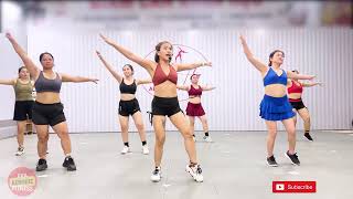 Exercises To Lose Weight Quickly At Home  Aerobic Exercises For Beginners [upl. by Hatfield330]