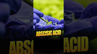 Abscisic Acid [upl. by Longan]