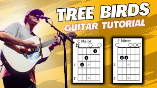 Tree Birds Dylan Gossett Guitar Tutorial [upl. by Ydnas]