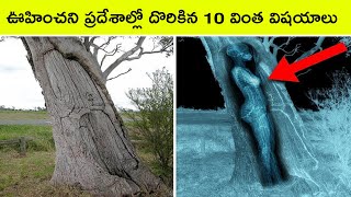 Top 10 Discoveries found in unexpected places  Bmc facts  Telugu [upl. by Evelc208]