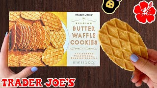 🇧🇪 Belgian Butter Waffle Cookies  Trader Joe’s Product Review [upl. by Esele]