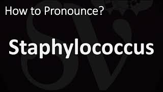 How to Pronounce Staphylococcus CORRECTLY [upl. by Tyrone]