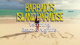 Episode 4 Day and Night life of Worthing Barbados [upl. by Leda991]