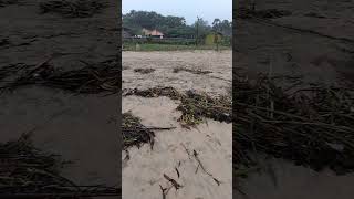 Fengal puyal cyclone aftermath cyclone puducherry pondicherry subscribe now [upl. by Coffin256]