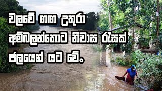 වලවේ ගඟ උතුරා අම්බලන්තොට නිවාස රැසක් ජලයෙන් යටවේ Magama Tv Lk [upl. by Ednihek]