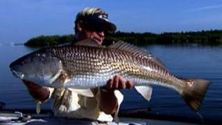 No Motor Zone Banana River Fishing in a Canoe for Monster Redfish [upl. by Ailsa]