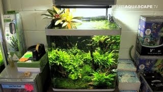 Aquascaping  Aquarium Ideas from Aquatics Live 2011 part 2 [upl. by Ellegna]