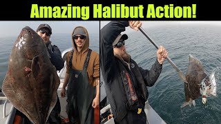 Amazing Halibut Action Alaskan Halibut Fishing  Petersburg Alaska SEPTEMBER 2021 [upl. by Ahtnamas219]