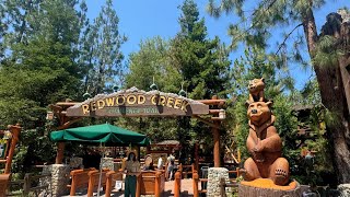 Redwood Creek Challenge Trail  Reopening Day  Disneyland Resort 2024 4K [upl. by Ecirehc689]