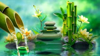 Beautiful Relaxing Music 🌿 Water Sounds Deep Sleeping Music Meditation Music Relaxing Piano [upl. by Frisse]