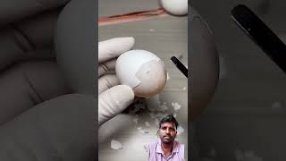 ande ka chhilka nikalne ka Tarika part 1 egg funny [upl. by Jillian898]