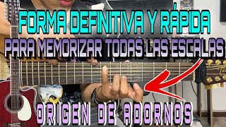 ¡Forma DEFINITIVA para APRENDER TODAS LAS ESCALAS  ORIGEN de los ADORNOS Y REQUINTO [upl. by Asenaj428]