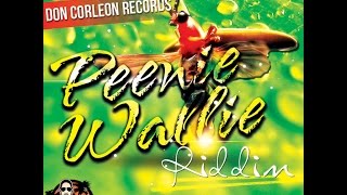 PEENIE WALLIE RIDDIM MIX FT MAVADO VYBZ KARTEL SEAN PAUL amp MORE DJ SUPARIFIC [upl. by Zanlog112]