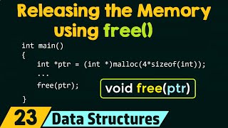 Releasing the Dynamically Allocated Memory using free [upl. by Drake200]