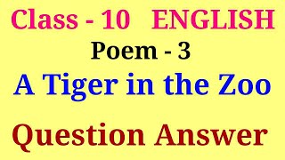 A tiger in the zoo question answer  class 10 english poem 3 question answer [upl. by Schoenburg572]