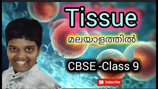 Master the Biology of Tissues Your Essential Guide [upl. by Ianaj]