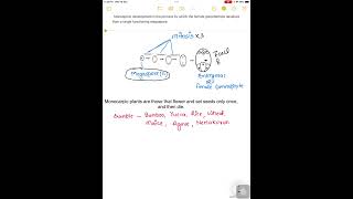 Monosporic development and Monocarpic plant shortsvideo [upl. by Nomrej]