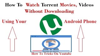 Torrent to DVD  How to Download Convert and Burn Torrent to DVD [upl. by Wavell]