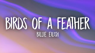 Billie Eilish  BIRDS OF A FEATHER [upl. by Rexanne]