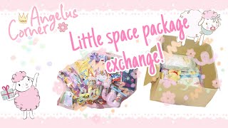 Little space package swap with n3komom ೀ [upl. by Boser]