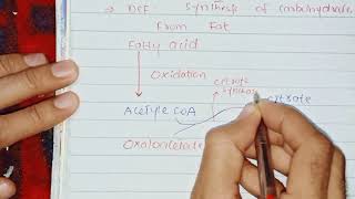 Glyoxylate Cycle Biochemistry [upl. by Nayt]