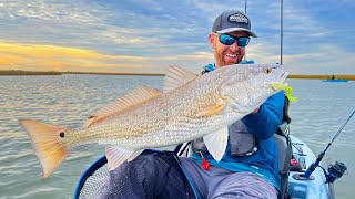 Kayak Fishing Inshore Slam Redfish Sheepshead Flounder amp Trout CATCH amp COOK [upl. by Ressler]