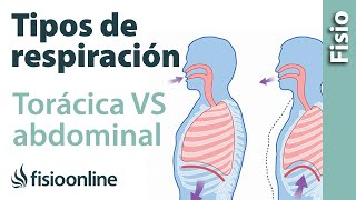 Respiración torácica VS respiración abdominal desde la visión de la fisioterapia respiratoria [upl. by Anal434]