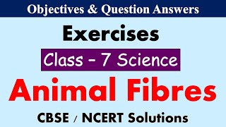 Animal Fibres  Class  7 Science  Exercises amp Question Answers  CBSE  NCERT Syllabus [upl. by Ranique]