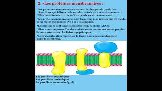 Cours de Biologie cellulaire  membrane plasmique [upl. by Kellie]