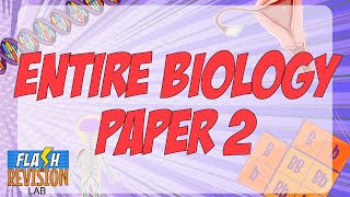 GCSE Biology Paper 2 The Full Summary [upl. by Sinoda]