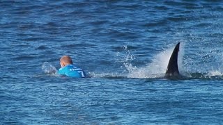 Surfer Mick Fanning escapes white shark attack in Jeffreys Bay [upl. by Imhsar976]