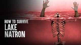 How to Survive Lake Natron [upl. by Akirret]