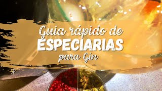 Guia de Especiarias para Gin [upl. by Haywood]