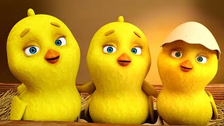 🐤🐥Los Pollitos Dicen Pio Pio  Canciones Infantiles para niños [upl. by Catharina]