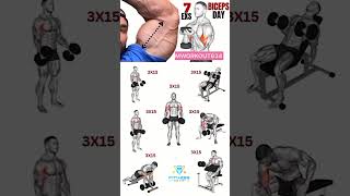 7 best biceps workout  best biceps workout at gym  viral fitness gym biceps [upl. by Hildy]